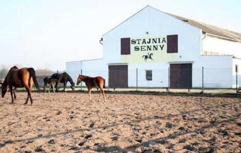 Noclegi przy Stajni Senny Łeba Zewnętrze zdjęcie